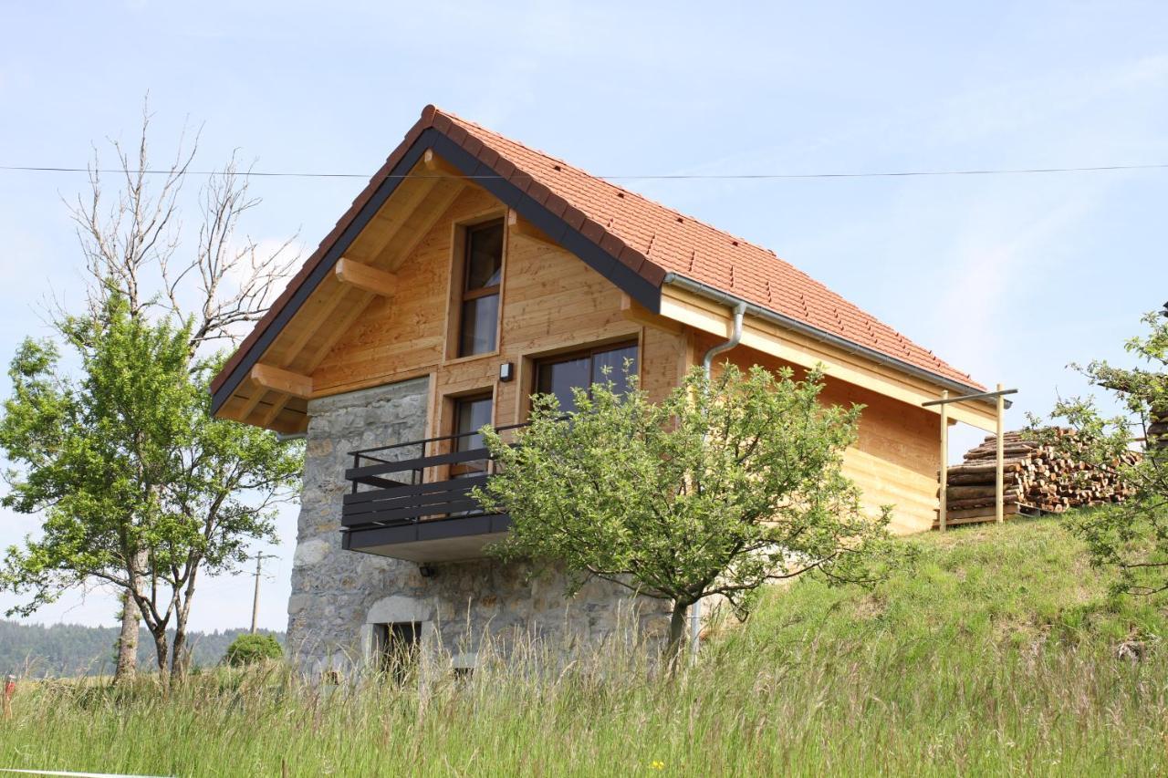 Le Chalet Des Pierres Viuz-en-Sallaz Exterior photo